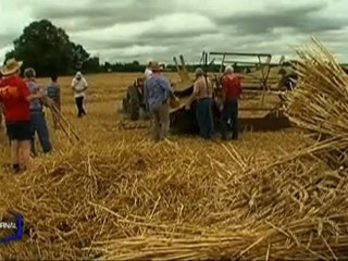 Dimanche, la Fête de la terre et du blé (Vendée)