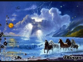 de beaux chevaux !!!