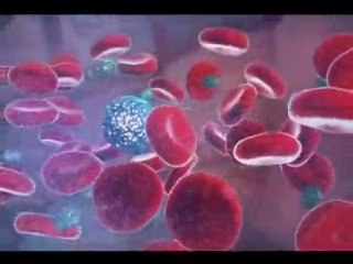 Natural Killer Cell - The Formulation