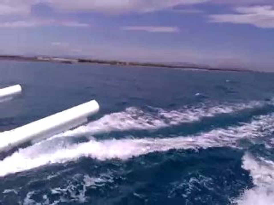 sortie catana50