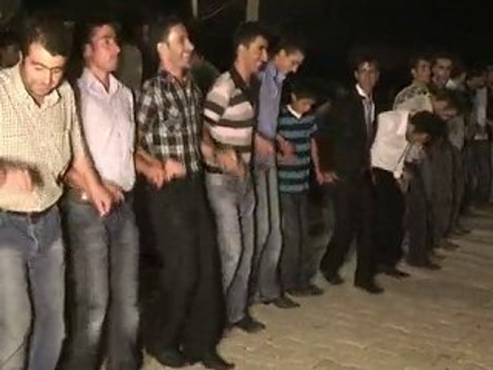 tutel halay