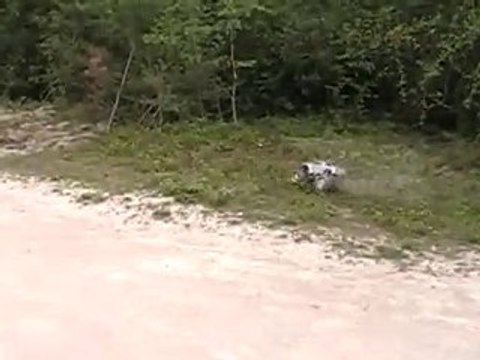 Comme un oiseau qui touche les branches !!!