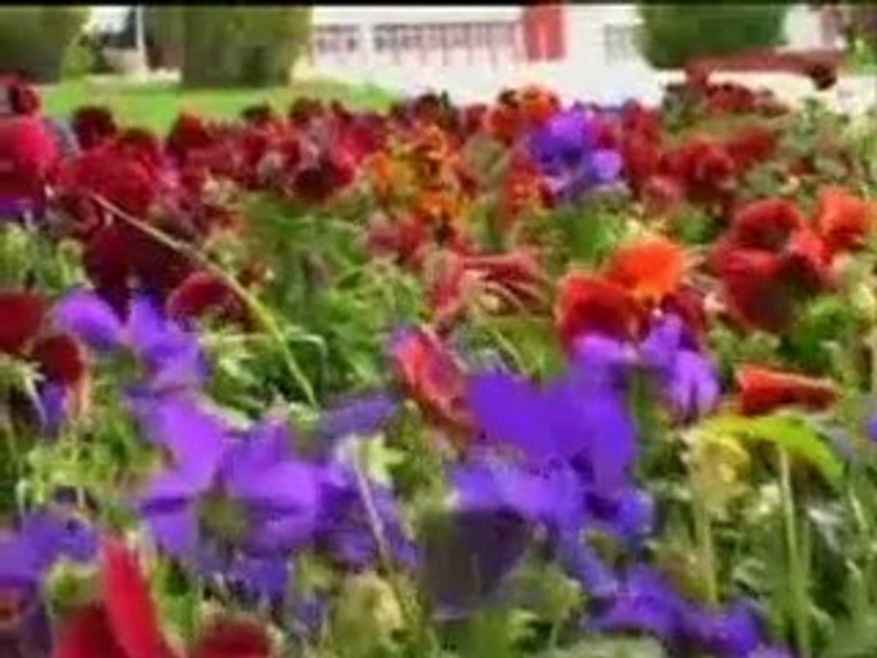 ATATÜRK ÜNİVERSİTESİ TANITIM