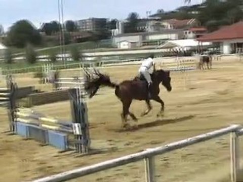 Gun Fire Chalamont cso 1er jour prépa eddy