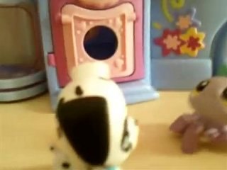Avez vous déjà vu, un Avez vous Déjà vu PetShop ?