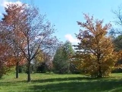 Homes for Sale - 1 Elle Court - South Barrington, IL 60010 -