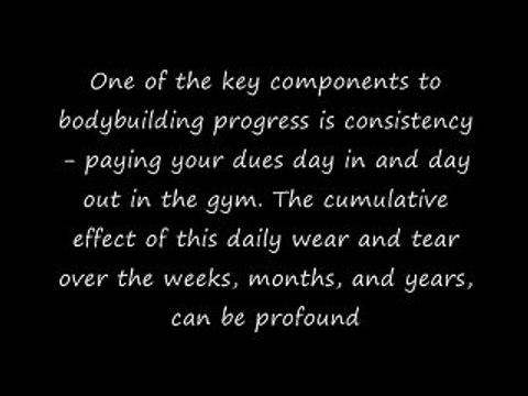 Universal Animal Flex