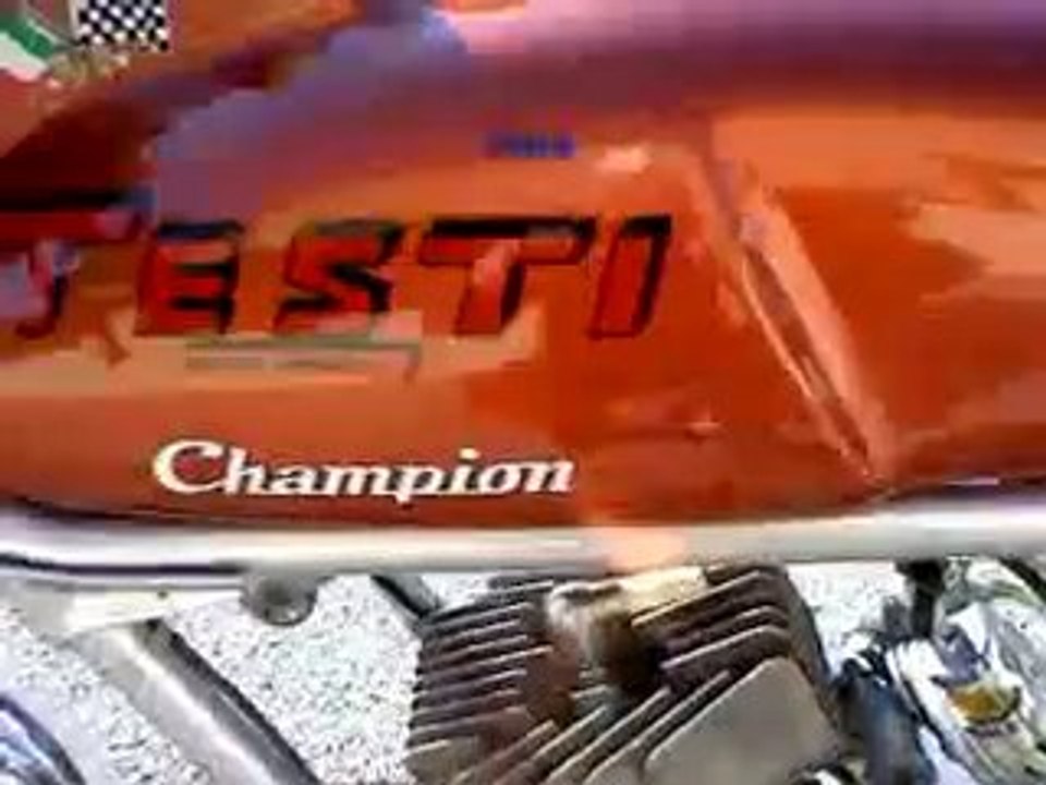 TESTI1970 P6