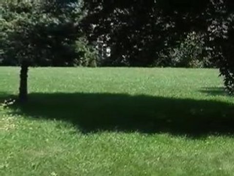 Homes for Sale - 8S251 Palomino Dr - Naperville, IL 60540 -