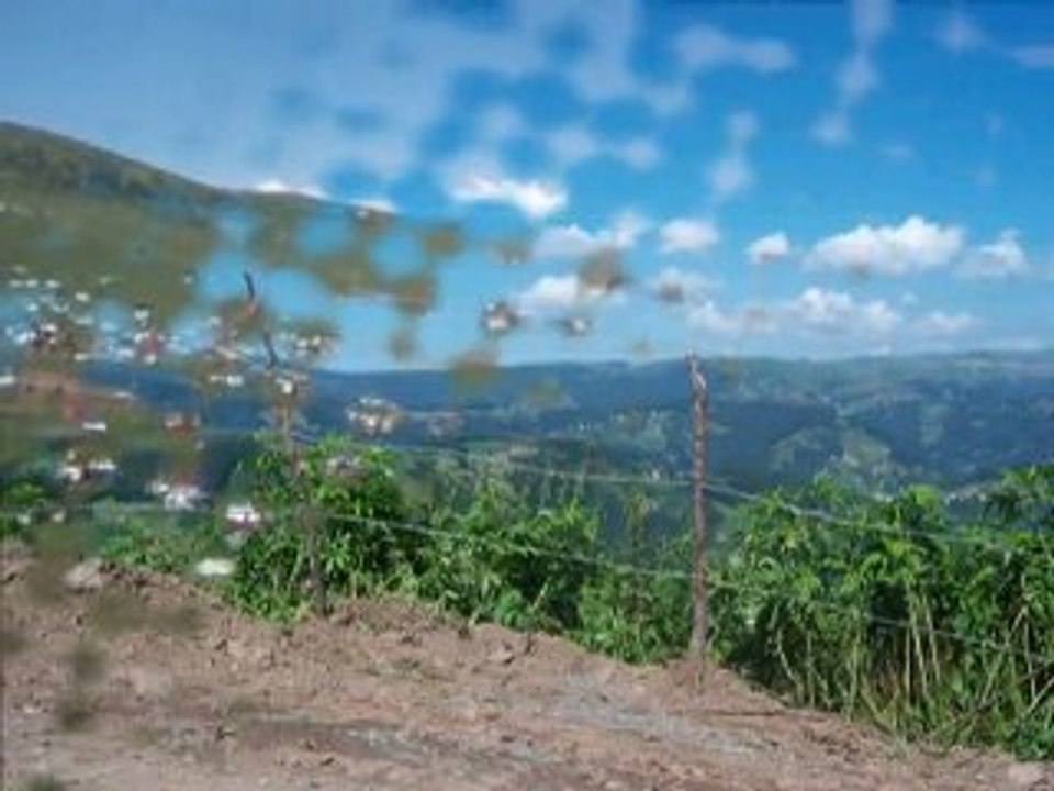 perşembe yaylası 2010