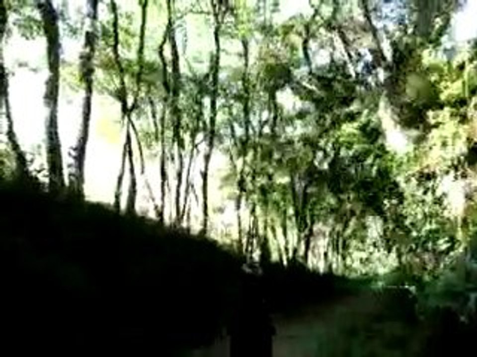 crz 125 pro et 110 lifan