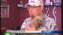NTV_CH6_2707_1535_DOGGI_t54