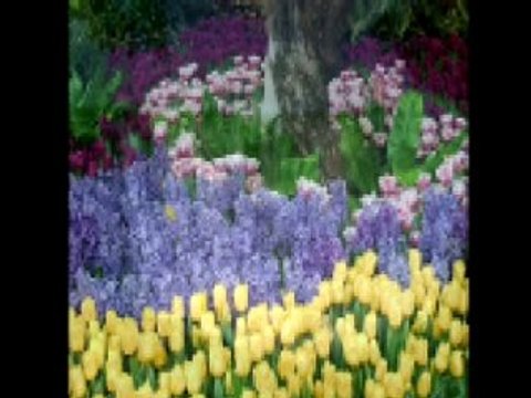 BENDENİZ - HARUN KOLÇAK - BİRİ VAR - BİR BUKET SEVGİ