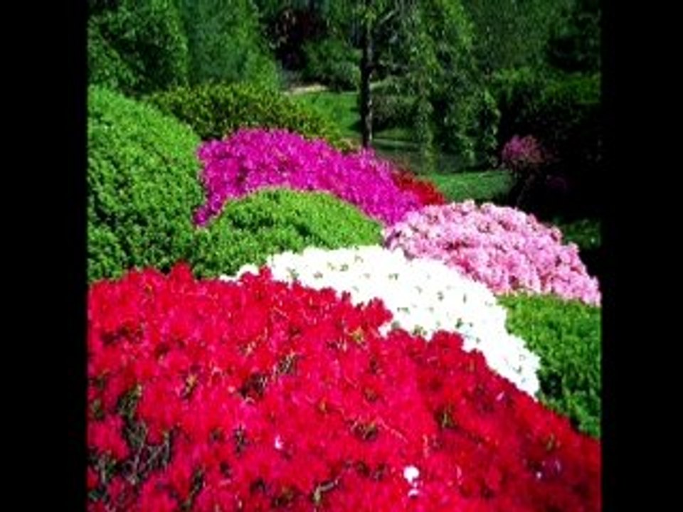 ORHAN GENCEBAY-- GÖZÜM KESMİYOR