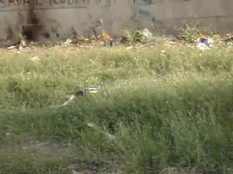 TRAXXAS E REVO VXL arazı gezıntısı