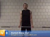 Bicep Curl Barbell