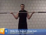 Wide Grip Curls