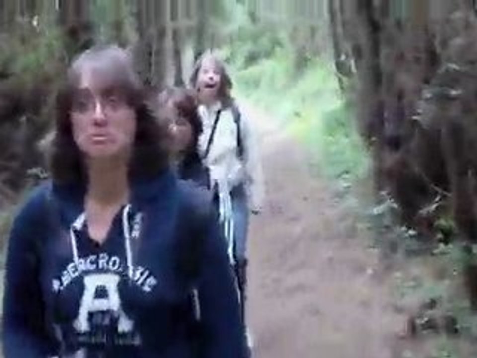 foret1