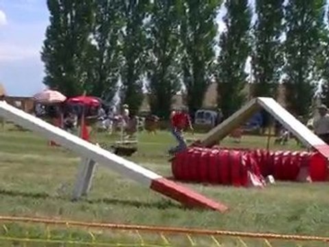 CHALONNE A ST GERMAIN DES BOIS 18