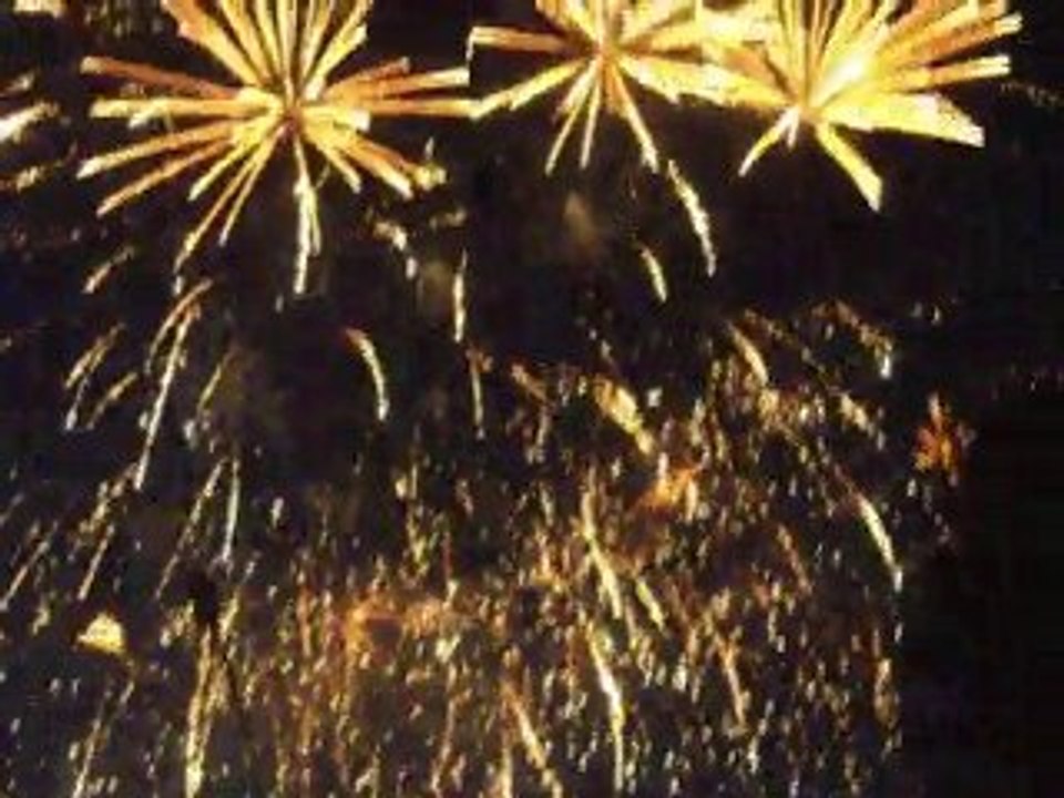 Feu d'artifice gournay en bray (76) 2010
