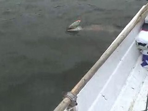 Pike fishing in Finland / Summer 2010 Kustavi