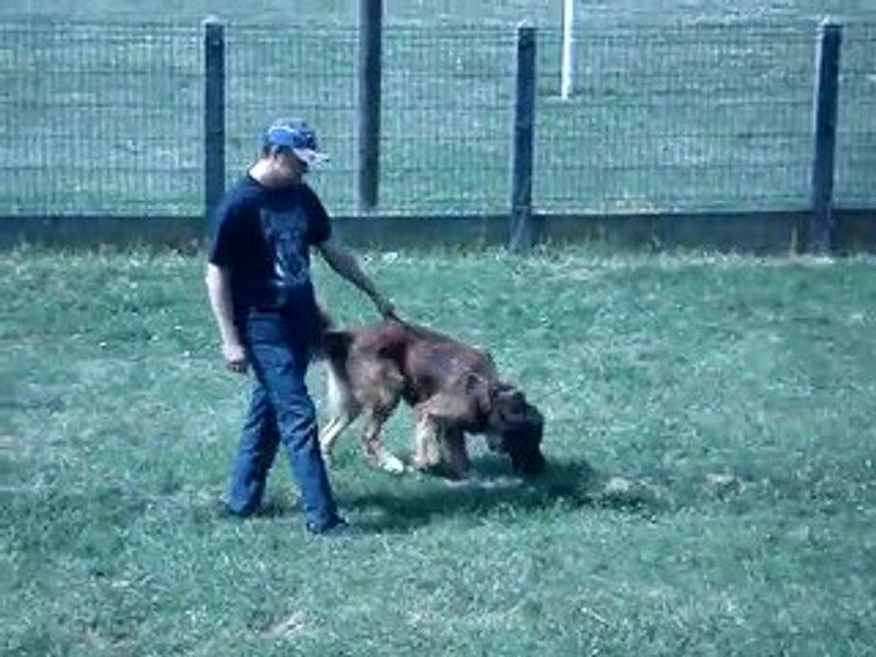 MOV00002