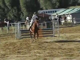 Gunfire chalamont cso 2ème jour mag CL1