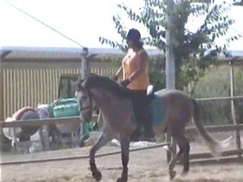 31 juillet 2010 - Sylvie sur Manolo