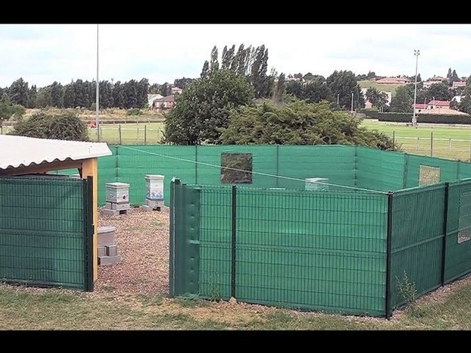 rucher pédagogique Balma,en  forme d'alvéole