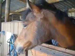 Cannelle : je regarde autour de moi