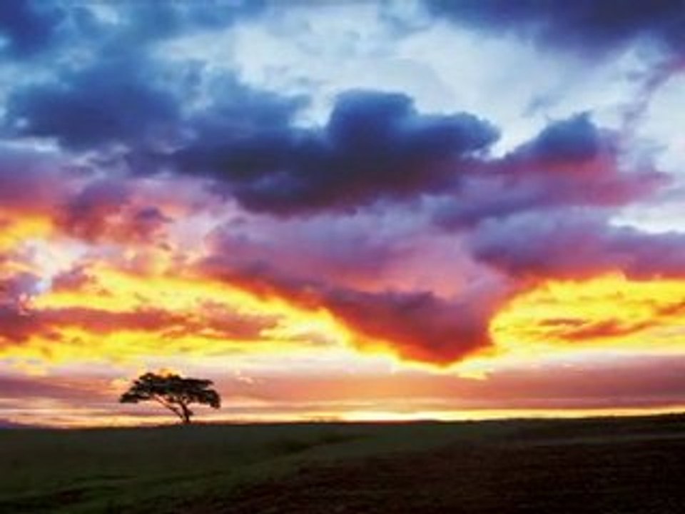 RADU - RUSH LOVE (SPANISH VERSION)