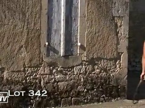 Lot 342 (Haras des Granges)