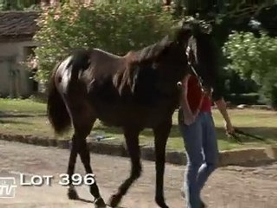 Lot 396 (Haras des Granges)