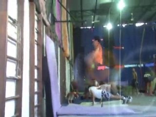 Parkour Egypt Team showreel 2009
