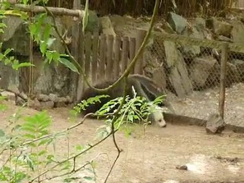 Je vais et je viens...