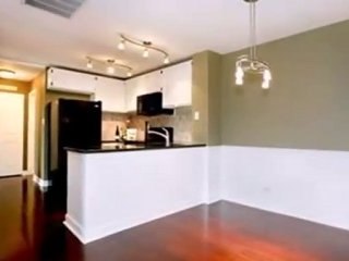 Homes for Sale - 5400 Walnut Ave Unit 204 - Downers Grove, I