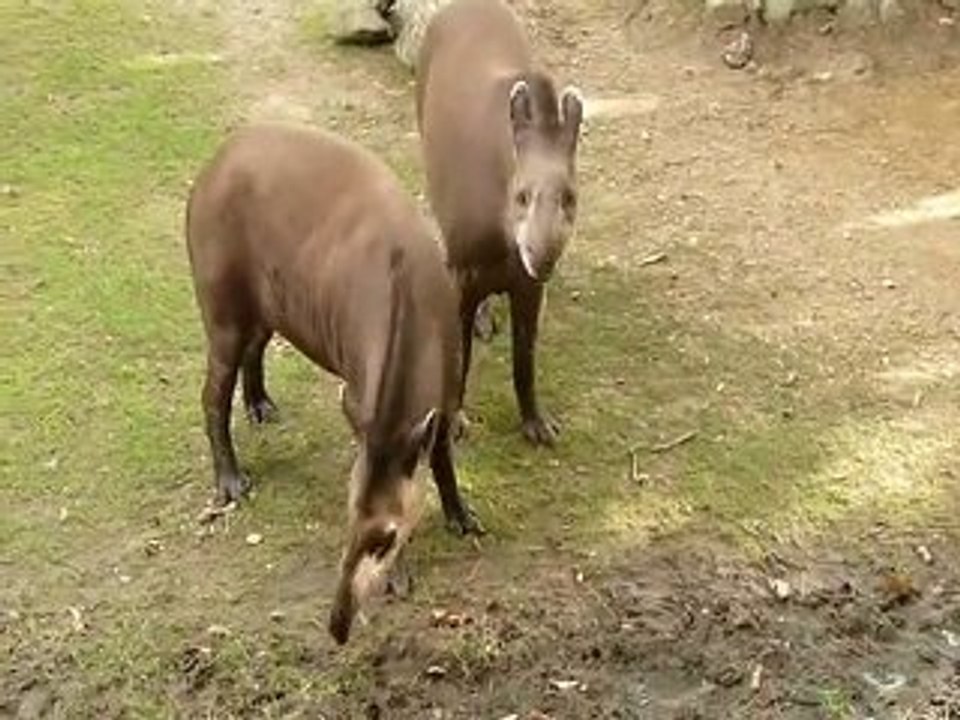 Et moi, et moi, et moi...