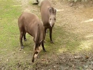 Et moi, et moi, et moi...