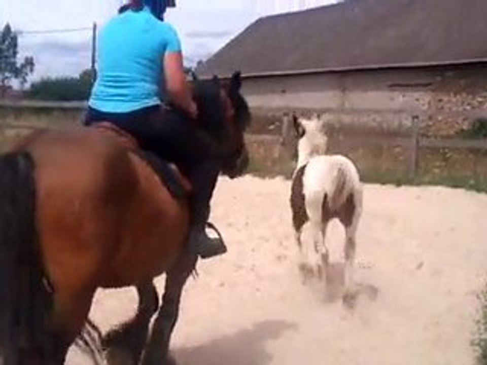 Feeringa + Ambre + thomas + Laure