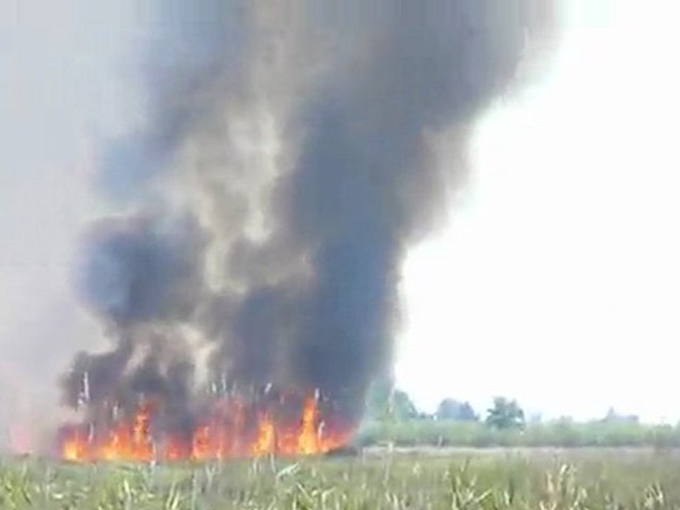 Feu de champ en Camargue