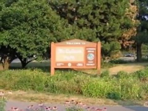 Homes for Sale - 4117 Sterling Rd - Downers Grove, IL 60515