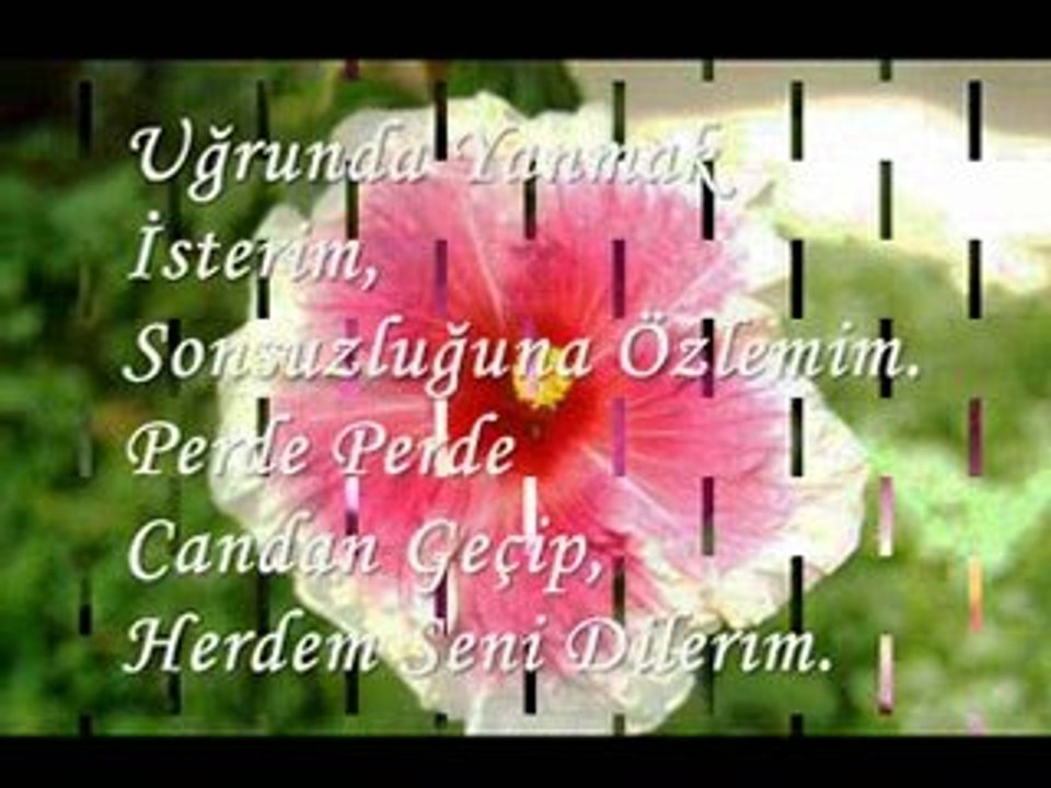 Ayhan Özen Naat - WwW.RisaleForuM.NeT