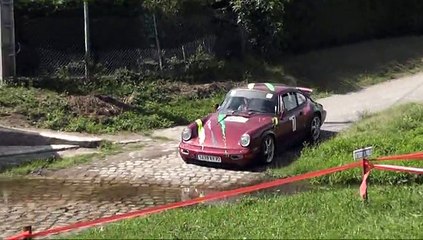 RALLYE VALLEE DE LA BRENNE 2010