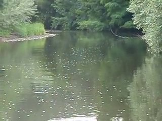 Coup du Soir sur la Bruche!!!