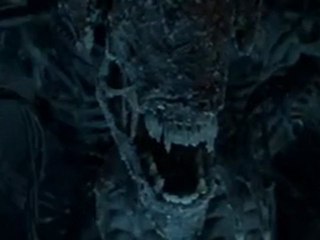 Que la chasse commence