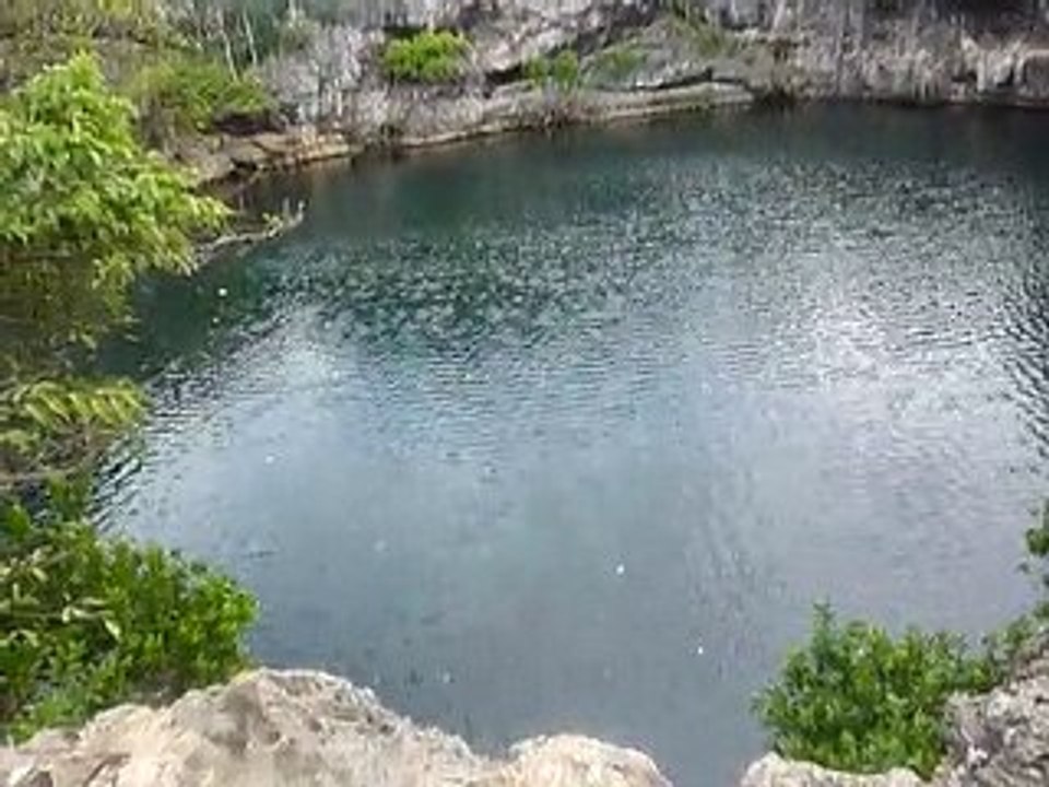 P1050811