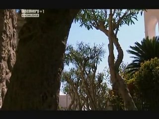 Romans – Caligula (2/3)