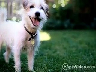 Sage Creek Apartments in Simi Valley, CA - ForRent.com