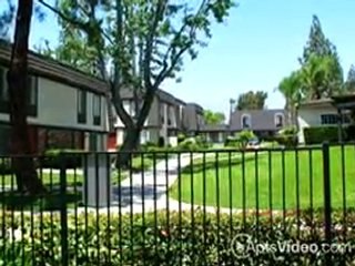 Lexington Apartments in Montclair, CA - ForRent.com