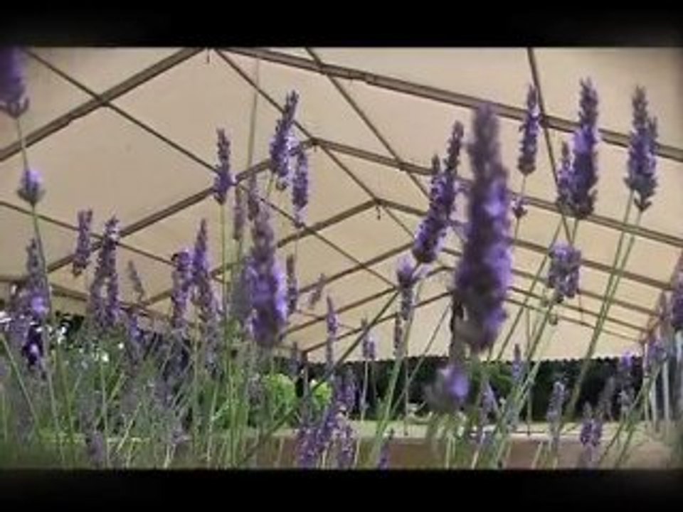 Buster Marquees - Marquee Hire Nottingham